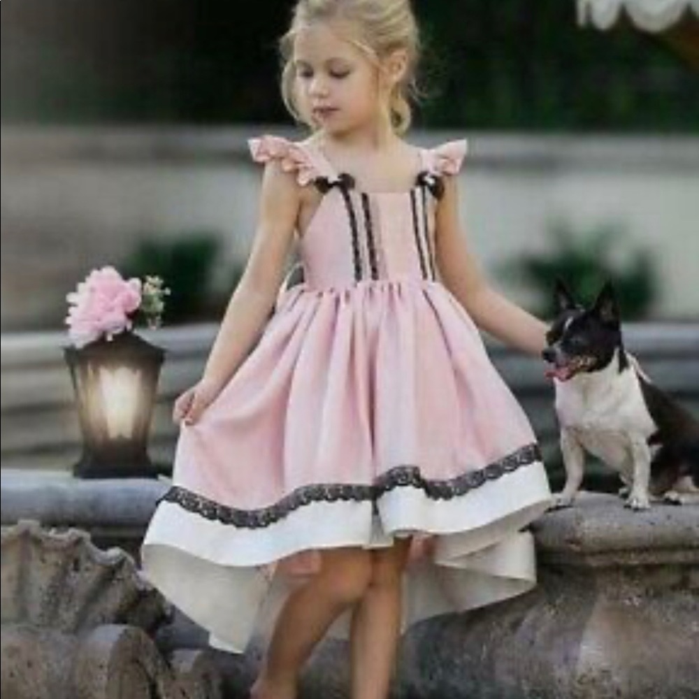 Nwt Dollcake Rose high low dress